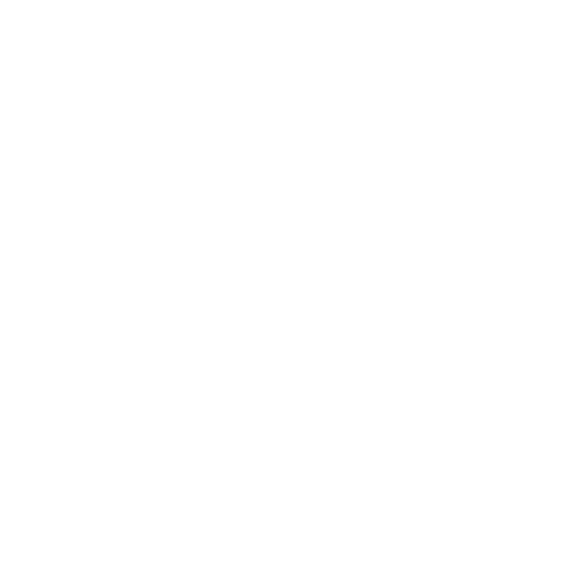 FAVICON-SOLAUDIT-ACT2